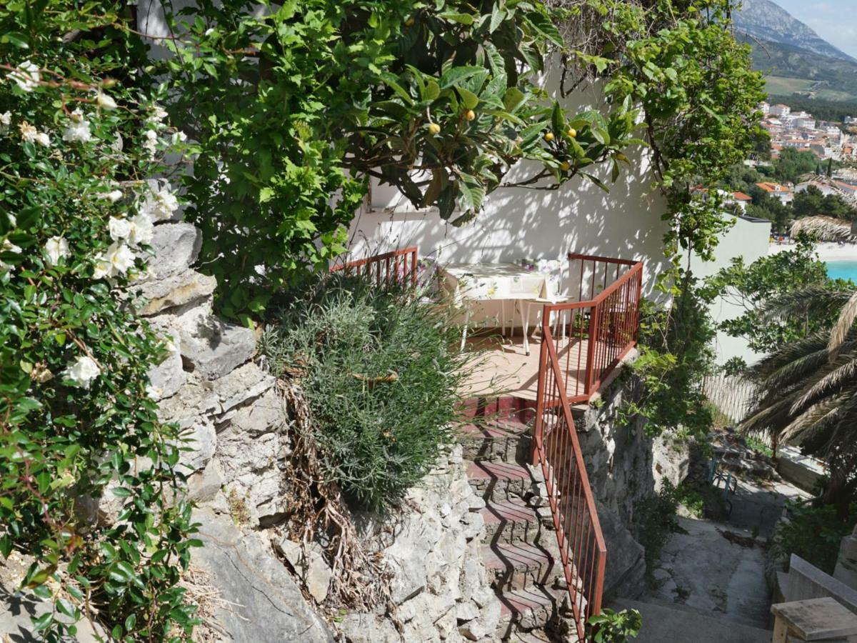 Apartments Feral 巴什卡沃达 外观 照片